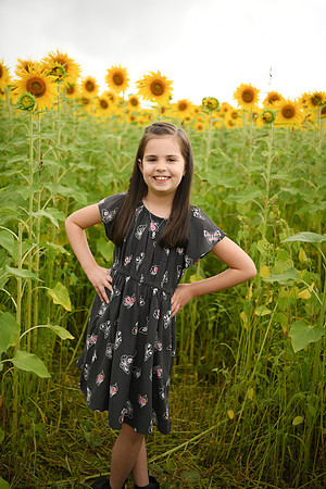 2023 sunflowers [bernard] 042