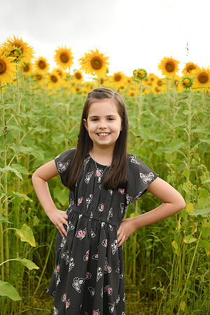 2023 sunflowers [bernard] 043