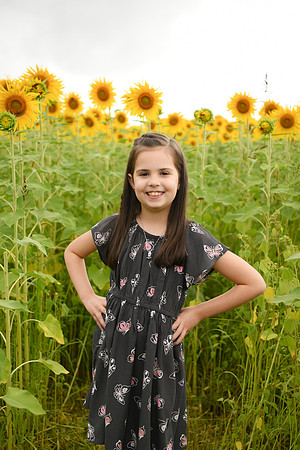 2023 sunflowers [bernard] 044