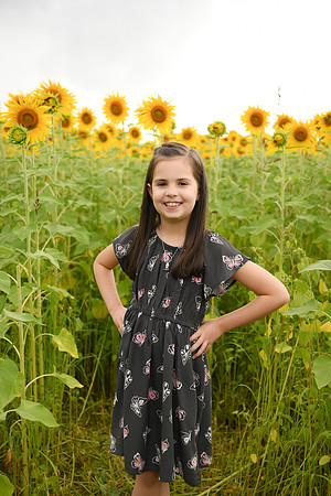 2023 sunflowers [bernard] 045
