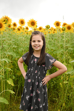 2023 sunflowers [bernard] 046