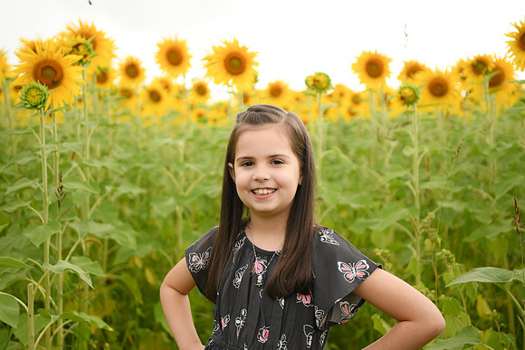 2023 sunflowers [bernard] 048