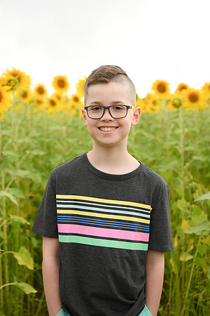 2023 sunflowers [bernard] 049