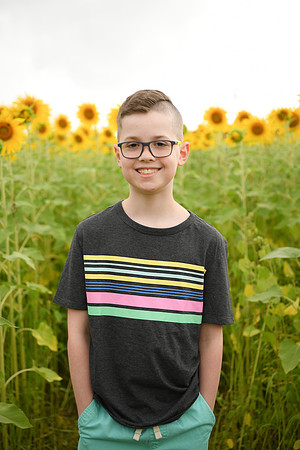 2023 sunflowers [bernard] 050
