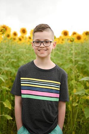 2023 sunflowers [bernard] 051