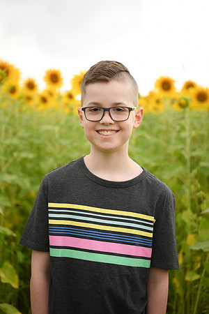 2023 sunflowers [bernard] 052