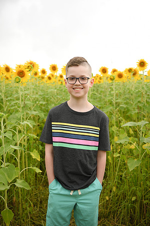 2023 sunflowers [bernard] 053