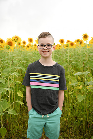 2023 sunflowers [bernard] 054