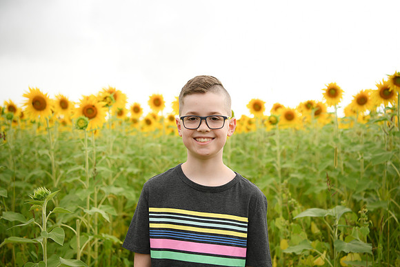 2023 sunflowers [bernard] 055