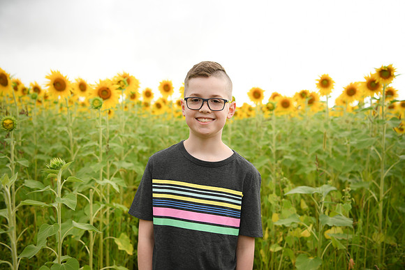 2023 sunflowers [bernard] 057