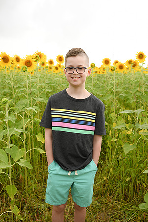 2023 sunflowers [bernard] 059