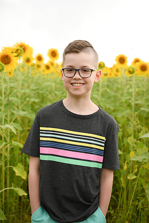 2023 sunflowers [bernard] 060
