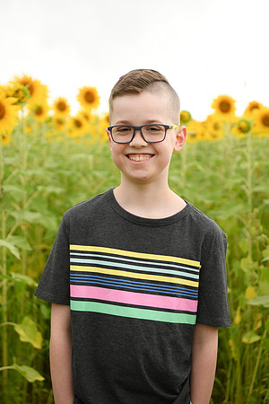 2023 sunflowers [bernard] 061