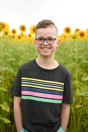 2023 sunflowers [bernard] 062