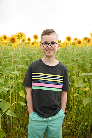 2023 sunflowers [bernard] 064