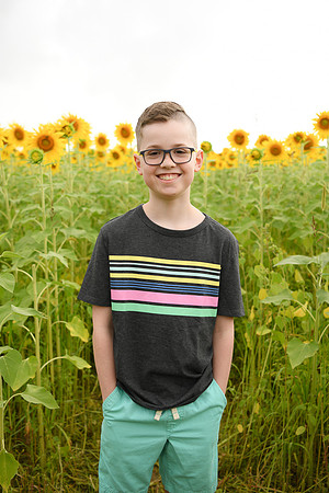 2023 sunflowers [bernard] 065