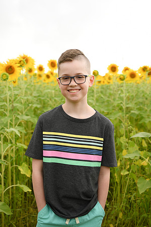 2023 sunflowers [bernard] 066
