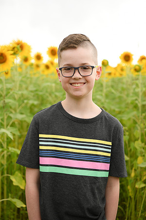 2023 sunflowers [bernard] 067