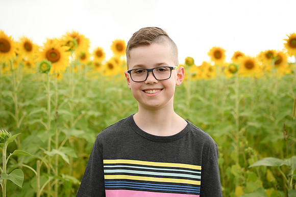2023 sunflowers [bernard] 068