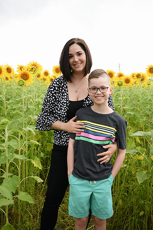 2023 sunflowers [bernard] 098