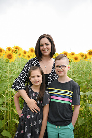 2023 sunflowers [bernard] 108