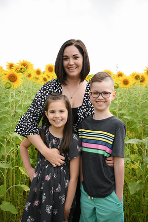 2023 sunflowers [bernard] 112