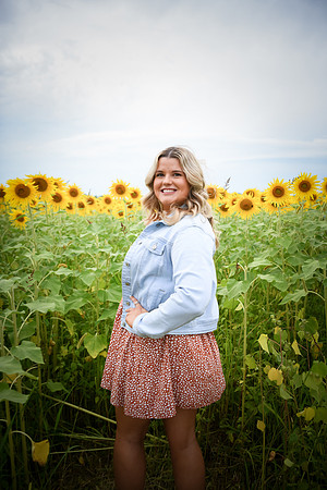 Sunflowers [Randi] 012