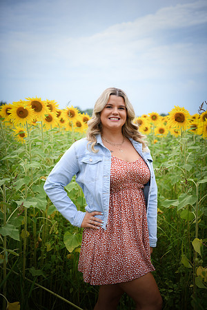Sunflowers [Randi] 018