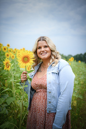 Sunflowers [Randi] 040