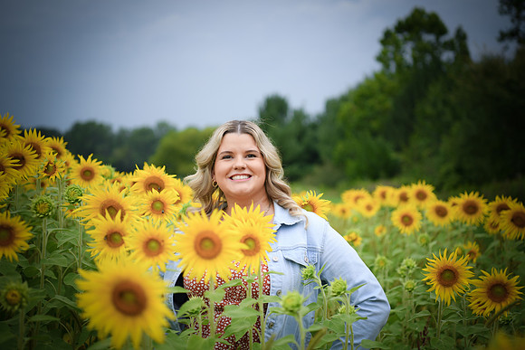 Sunflowers [Randi] 063