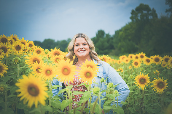 Sunflowers [Randi] 065