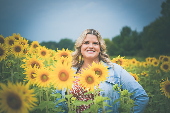 Sunflowers [Randi] 070