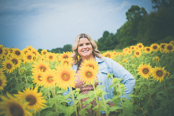 Sunflowers [Randi] 072