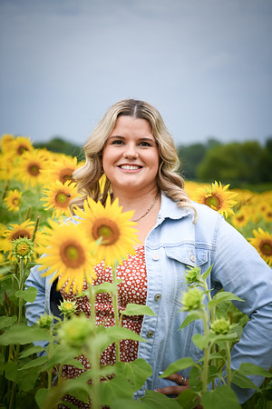Sunflowers [Randi] 077