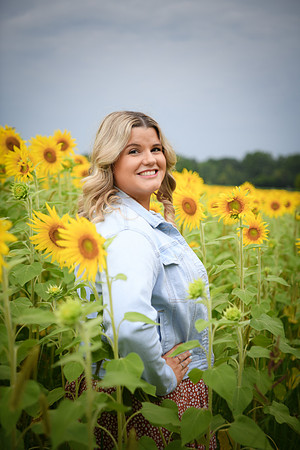 Sunflowers [Randi] 082