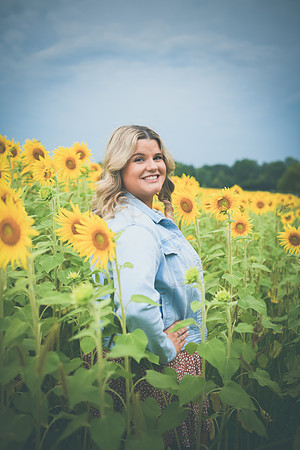 Sunflowers [Randi] 083