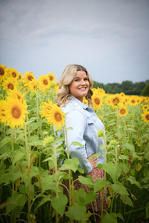 Sunflowers [Randi] 084