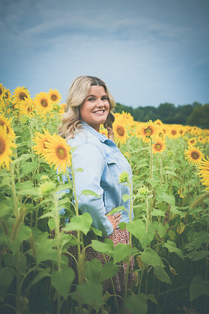 Sunflowers [Randi] 085