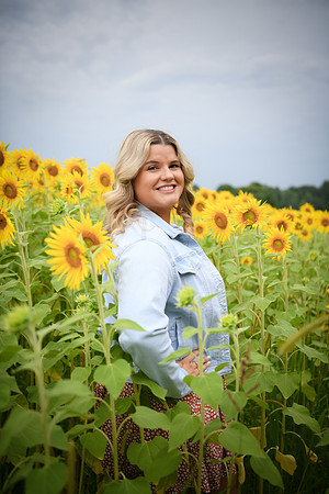 Sunflowers [Randi] 086