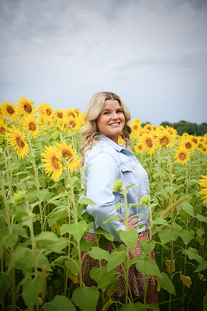 Sunflowers [Randi] 087