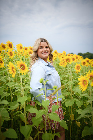 Sunflowers [Randi] 088