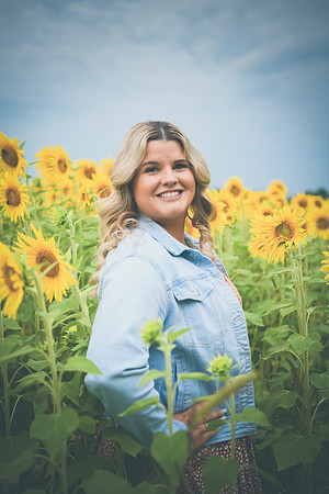 Sunflowers [Randi] 089