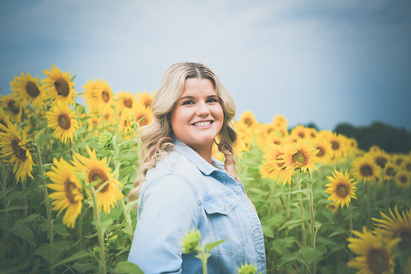 Sunflowers [Randi] 093
