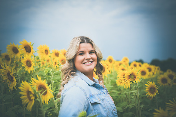 Sunflowers [Randi] 095