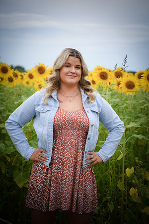 Sunflowers [Randi] 098