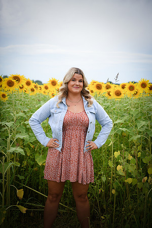Sunflowers [Randi] 099