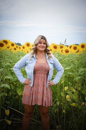 Sunflowers [Randi] 100