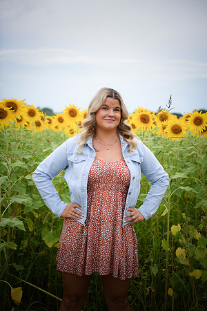 Sunflowers [Randi] 101