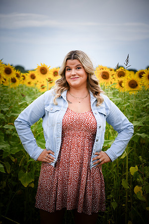 Sunflowers [Randi] 104