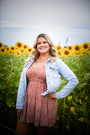 Sunflowers [Randi] 106